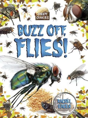 cover image of Buzz off, Flies!
